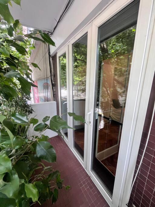 Modern And Cozy Apt, Wifi Hv, Spacious Kitchen Apartamento Ciudad Autónoma de Buenos Aires