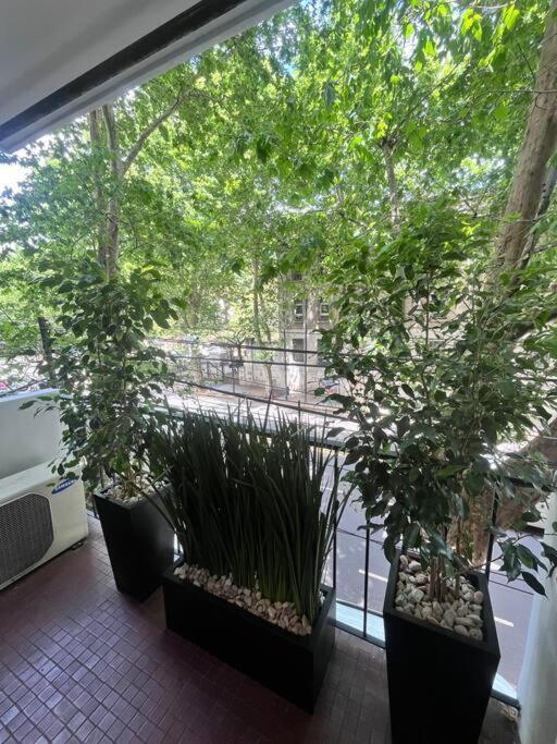 Modern And Cozy Apt, Wifi Hv, Spacious Kitchen Ciudad Autónoma de Buenos Aires