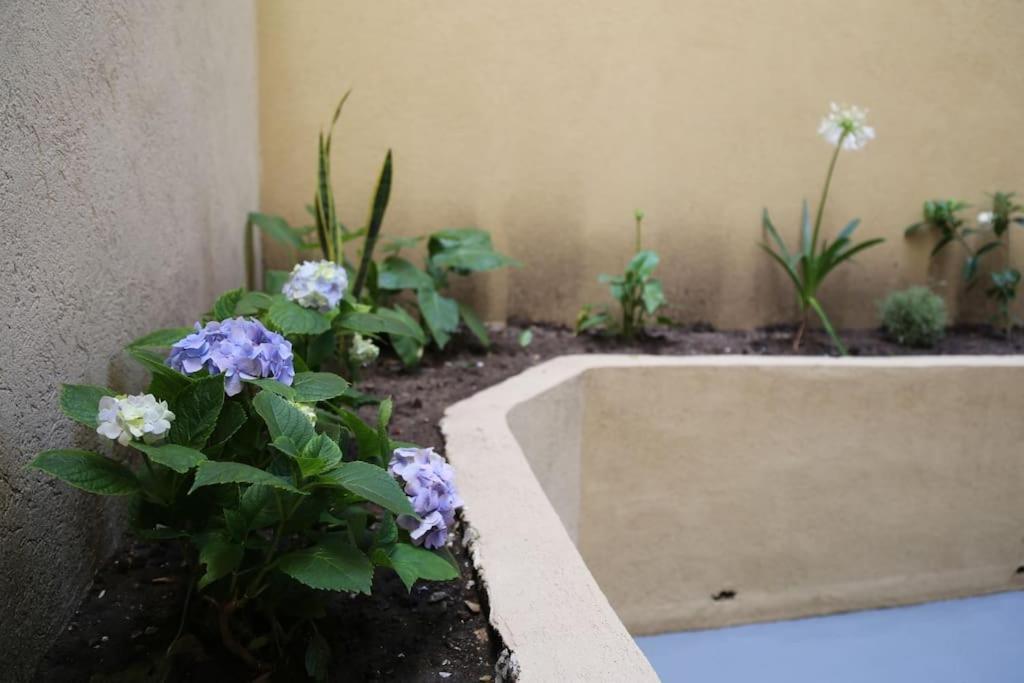 Apartamento Departamento En El Centro De Con Terraza