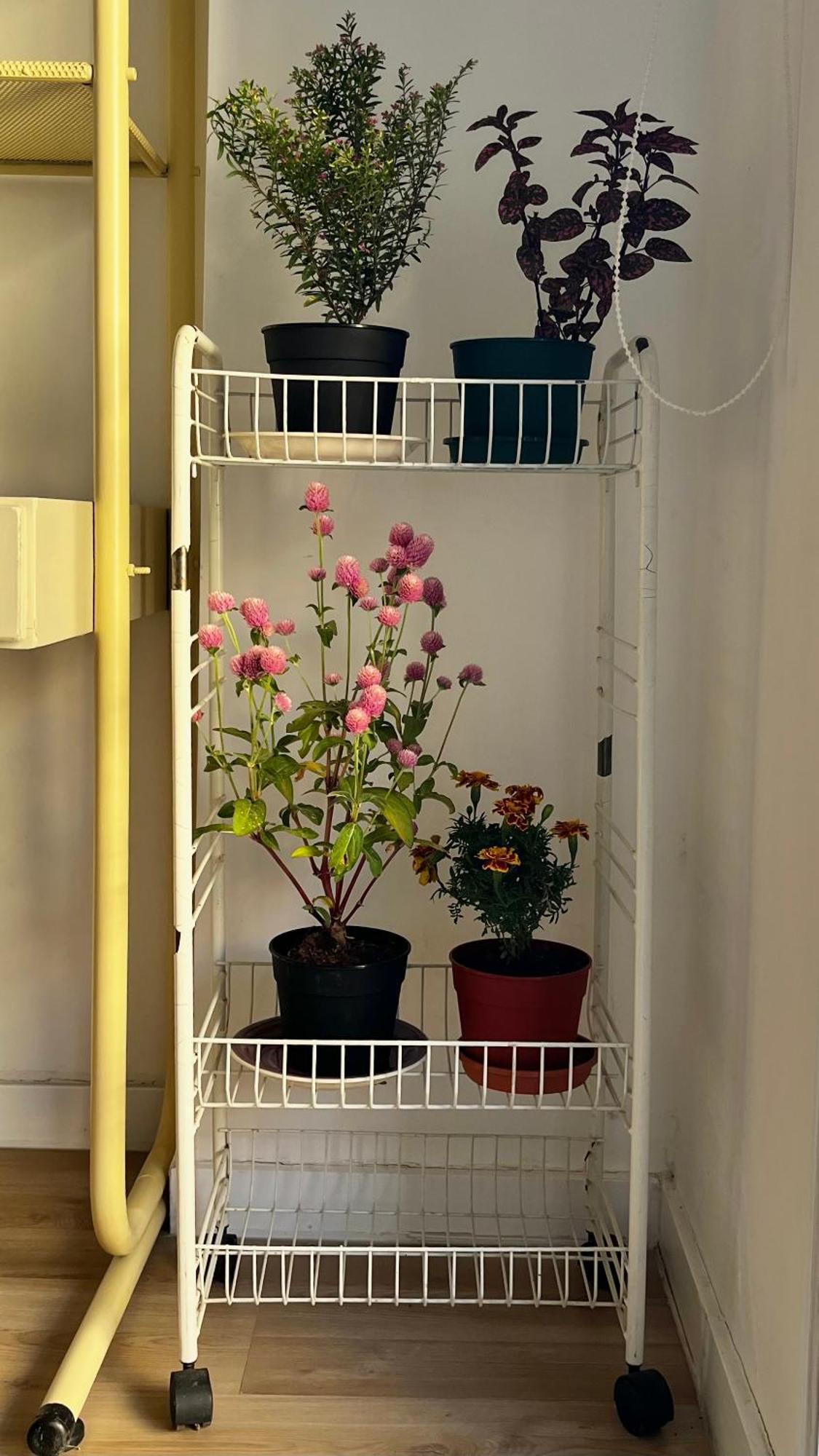 Valuchiapp Apartment