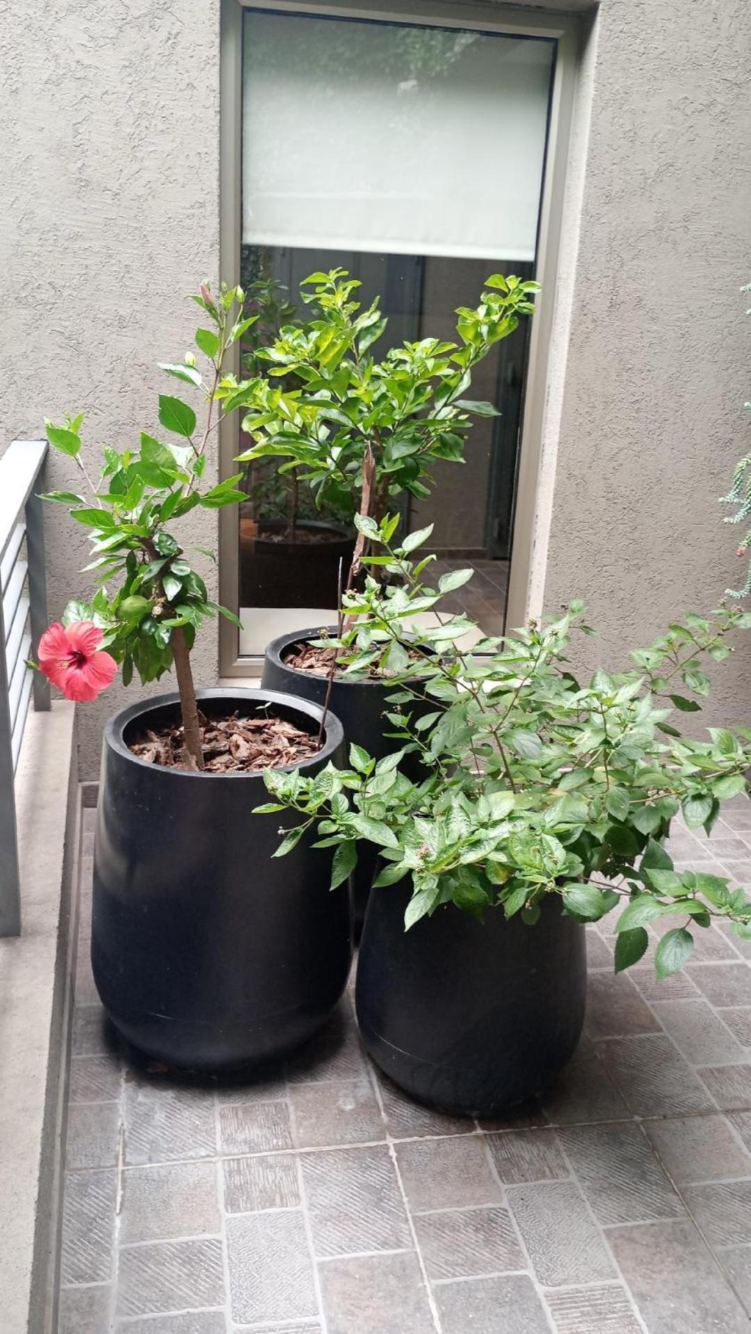 Apartamento Inspireba - Terrace Ciudad Autónoma de Buenos Aires