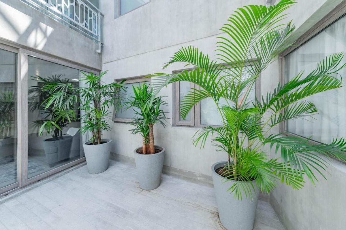 Con Terraza Propia En Palermo