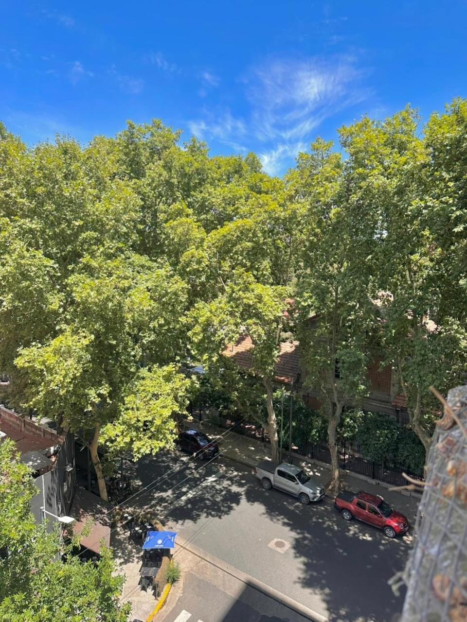 Hermoso Departamento 4 Ambientes En Palermo Frente Al Jardin Botanico Ciudad Autónoma de Buenos Aires