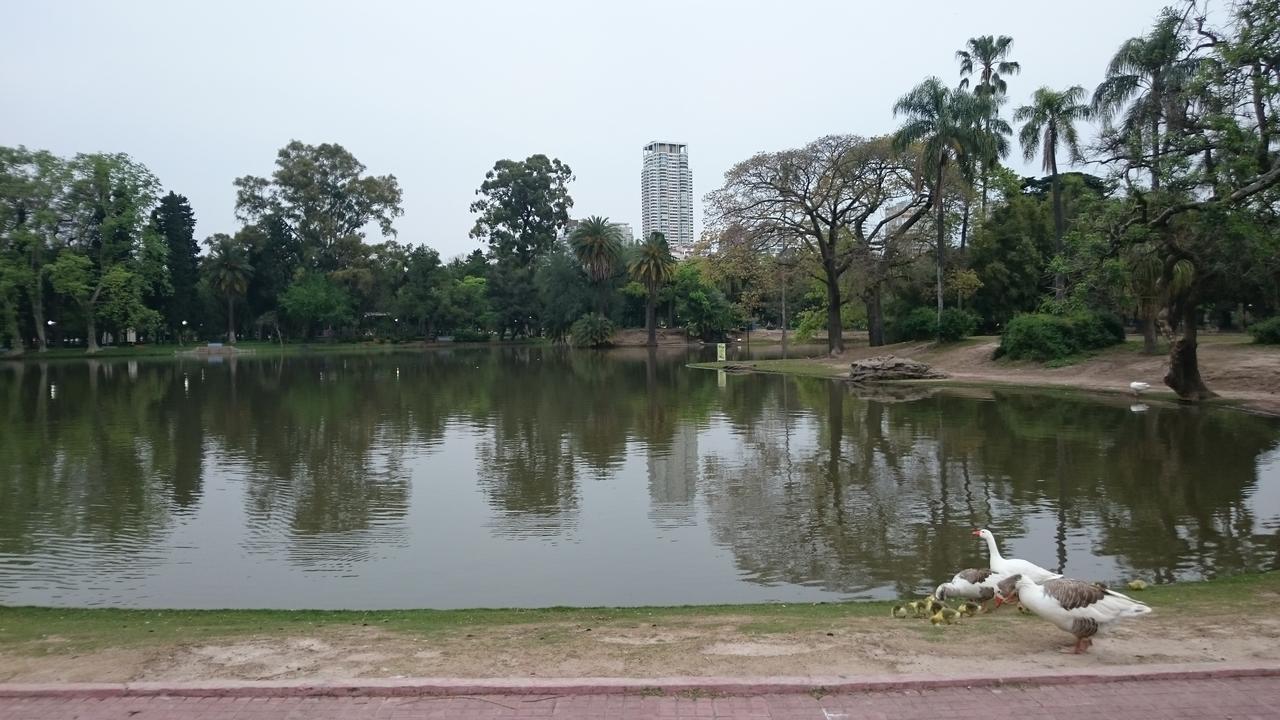 Muy Luminoso Palermo Chico 10' Aeroparque 100m del Mater dei Ciudad Autónoma de Buenos Aires