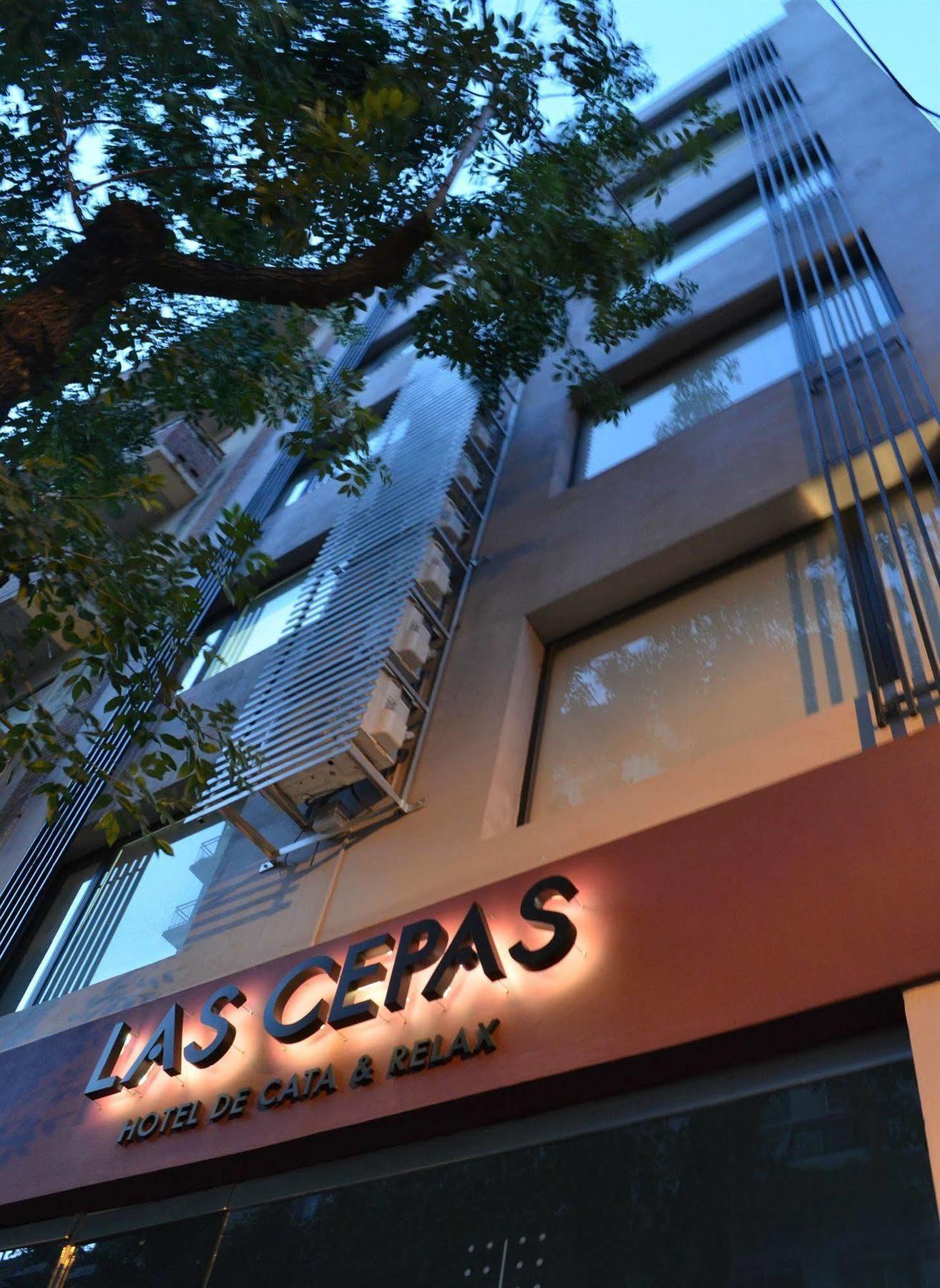 Cepas De Cata & Relax Hotel