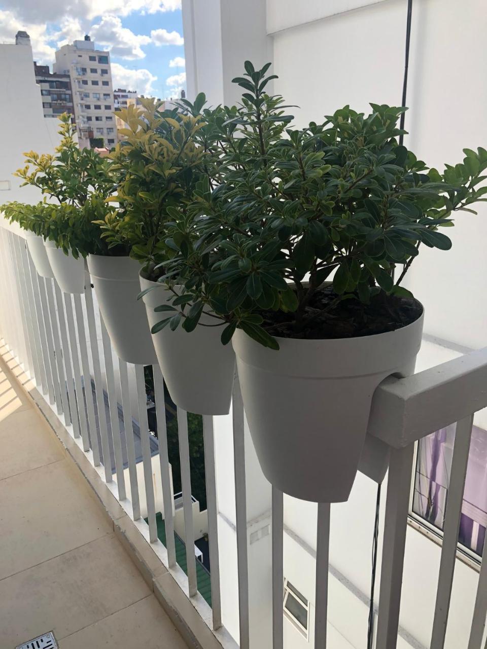 Apartamento 2 Belgrano