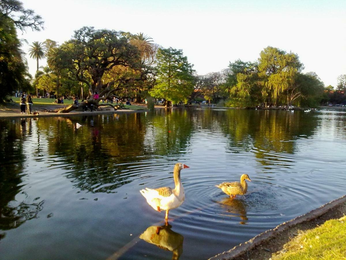 Palermo Nuevo