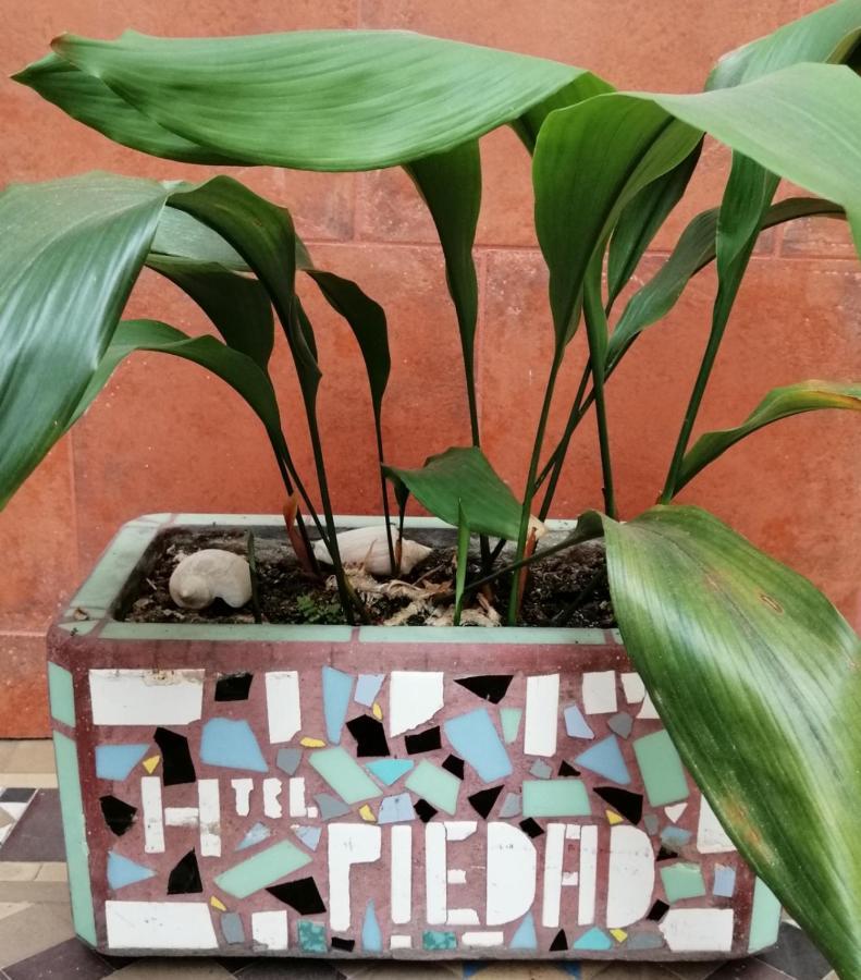 Hotel La Piedad
