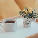 Boho Suite