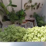 Habitacion Con Bano Uso Exclusivo En Una Casa Compartida En Primer Piso Por Escalera