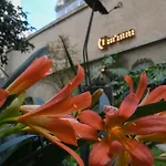 Casa Franca Recoleta Hostel Boutique