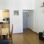 Tranquilidad En Departamento Compartido De Buenos Aires