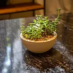Fliphaus Guatehaus Palermo Soho