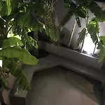 Casa D
