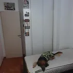 Habitacion Doble Con Tv.