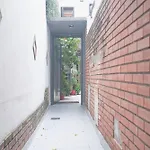 Green Filled Home With Rooftop Bbq