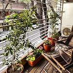 Rentup - Palermo, Moderno Departamento De 2 Ambientes Con Balcon