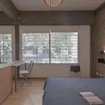 Hermoso Loft Palermo Soho - Plaza Serrano - La Mejor Ubicacion - Estacionamiento A La Vuelta