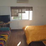 Pleno Centro