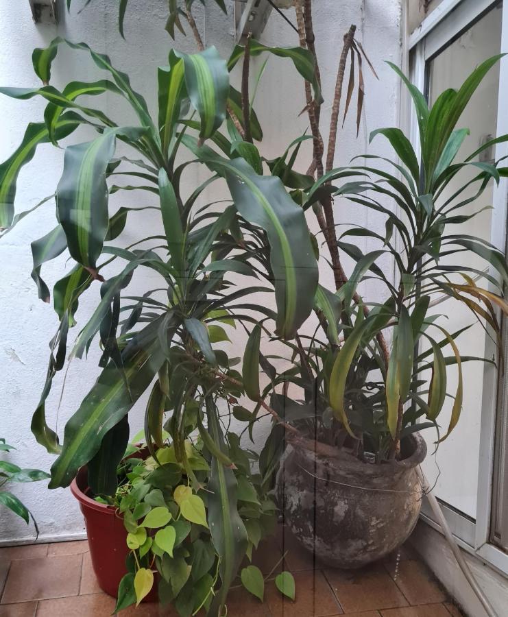 Apartamento Ecuador&santa Fé