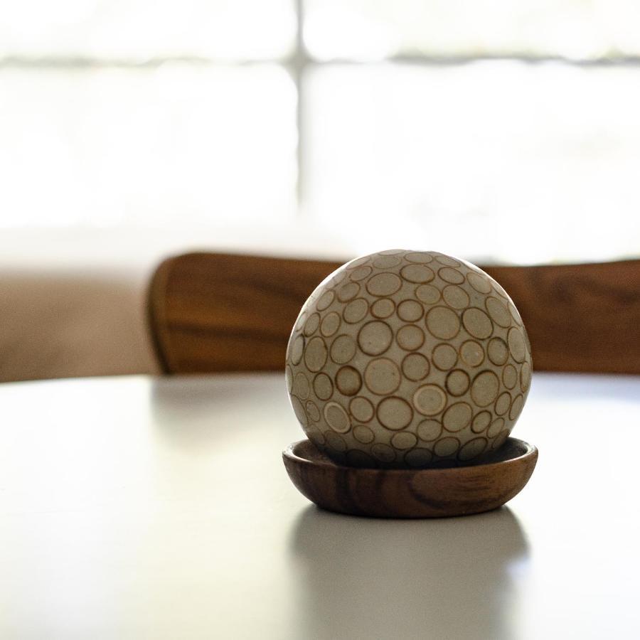 Luminoso Y Acogedor Depto Con La Mejor Ubicación Apartamento *