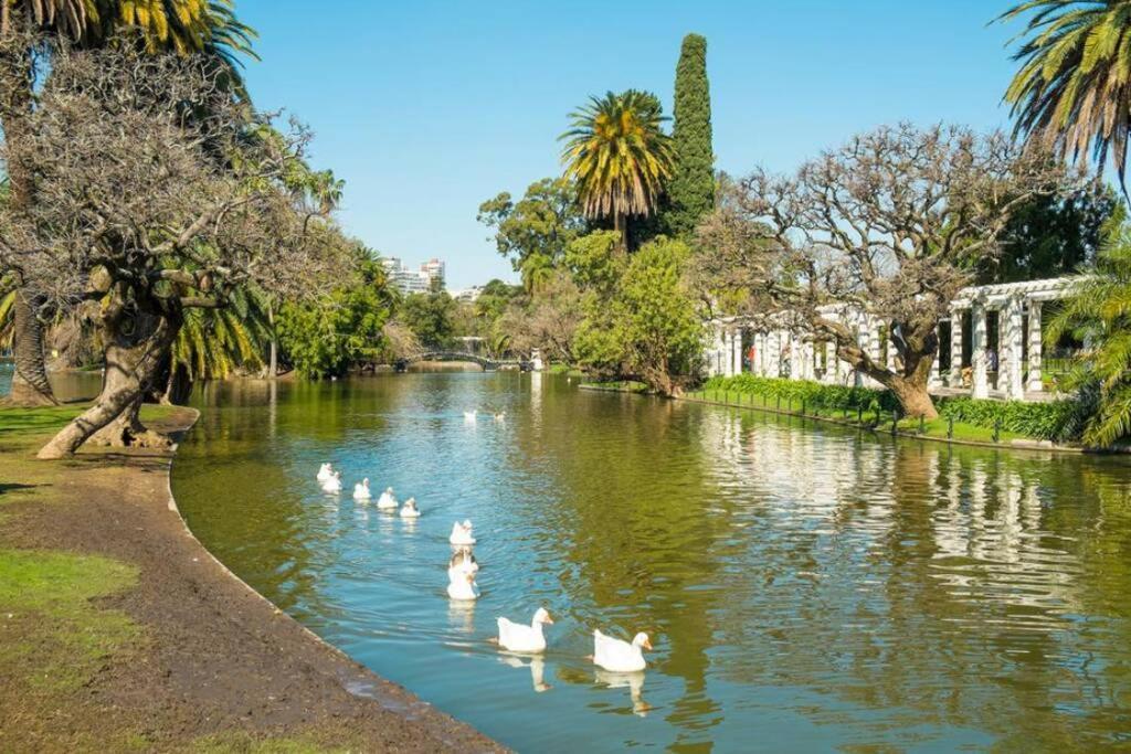 Excelente Piso Muy Luminoso En Palermo