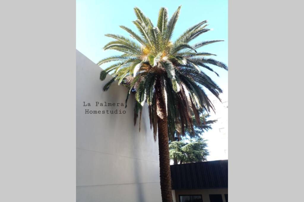 Apartamento La Palmera Homestudio. Hermoso En El Corazon De Palermo Hollywood Buenos Aires