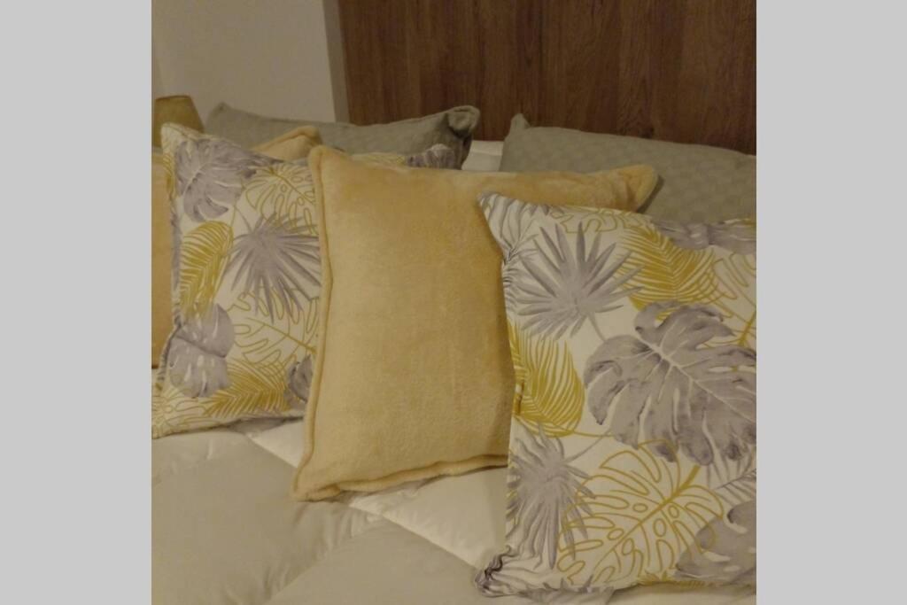 Apartamento La Palmera Homestudio. Hermoso En El Corazon De Palermo Hollywood Buenos Aires