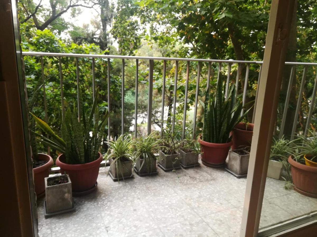 Palermo Frente Al Zoo * Buenos Aires