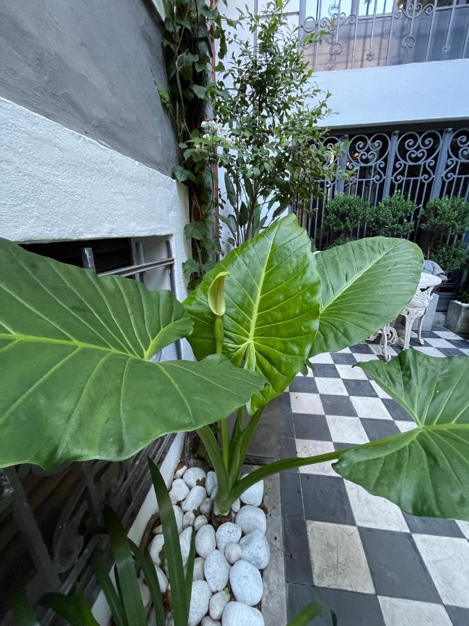 Le Petit Palais Bed and breakfast