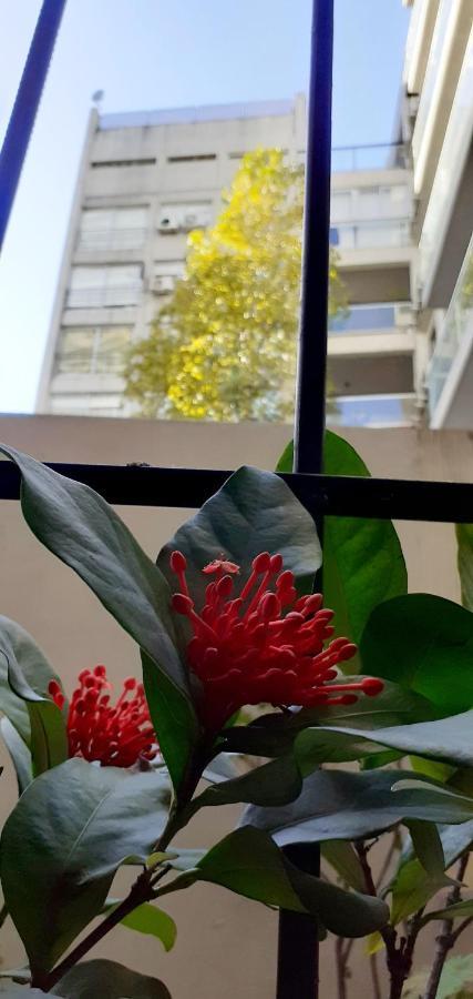 Oro Palermo Buenos Aires