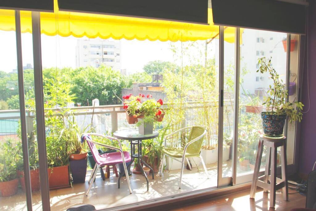Cosy With Great Balcony