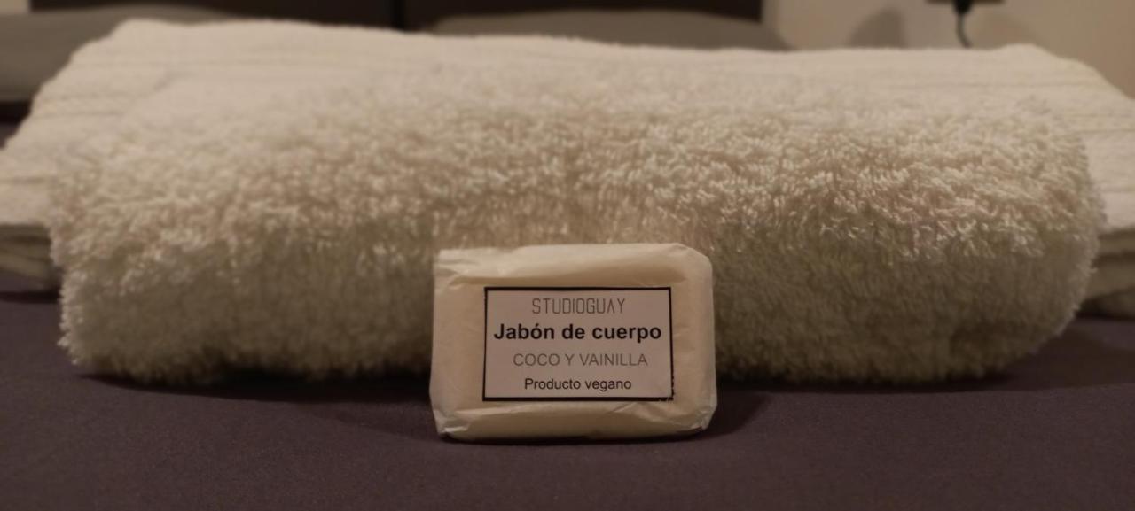 Apartment Studioguay - Con Balcon - In Ba Buenos Aires
