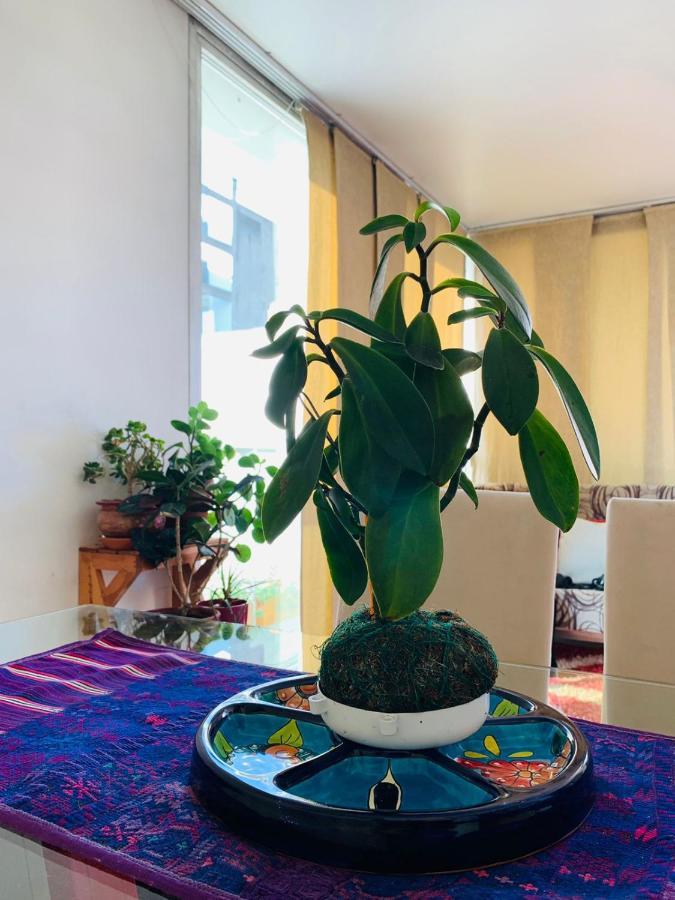 Apartamento Departamento Zona Almagro Con Vista Fascinante Ciudad Autónoma de Buenos Aires