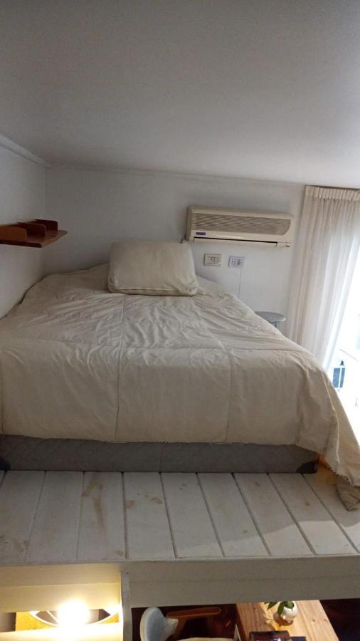 Cool Trendy Stylish With Mezzanine In Recoleta Apartamento