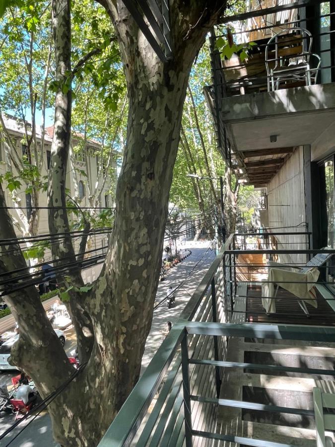 Terraza De Nicaragua Apartamento Buenos Aires