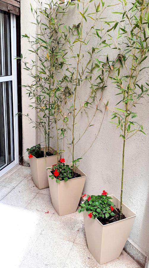 Oro Palermo Apartamento *