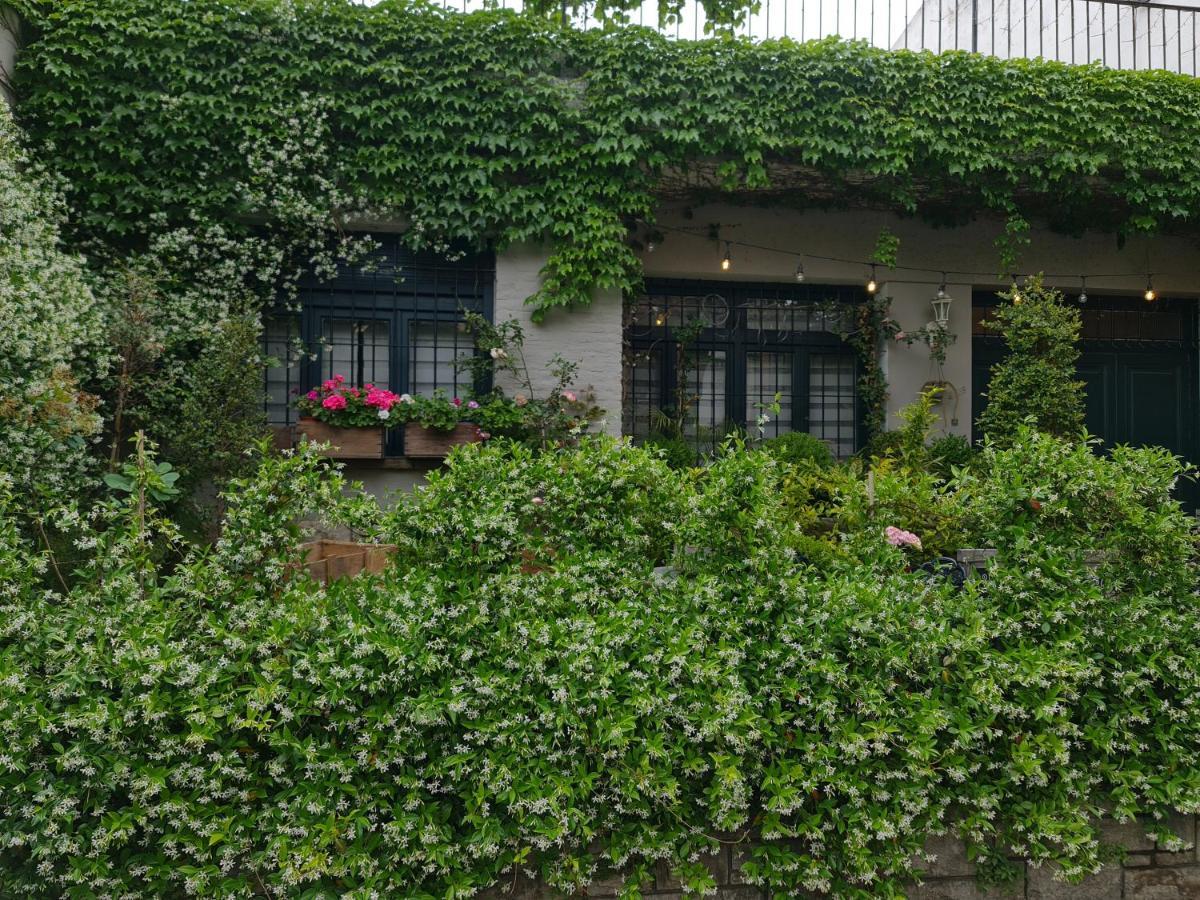 Mi Casa De Pensión *