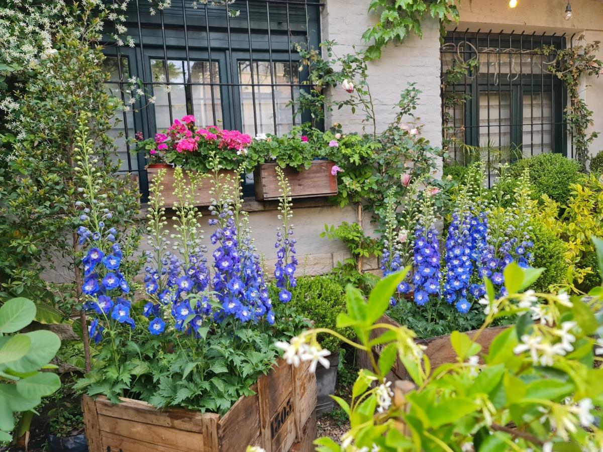 Mi Casa De Pensión