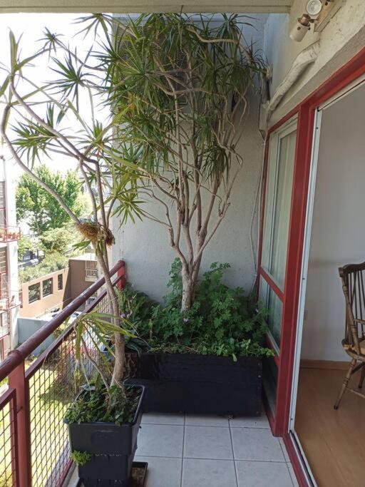 Beautiful With Pool Near Stadium River Plate Apartamento *