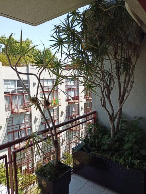 Apartamento Beautiful With Pool Near Stadium River Plate