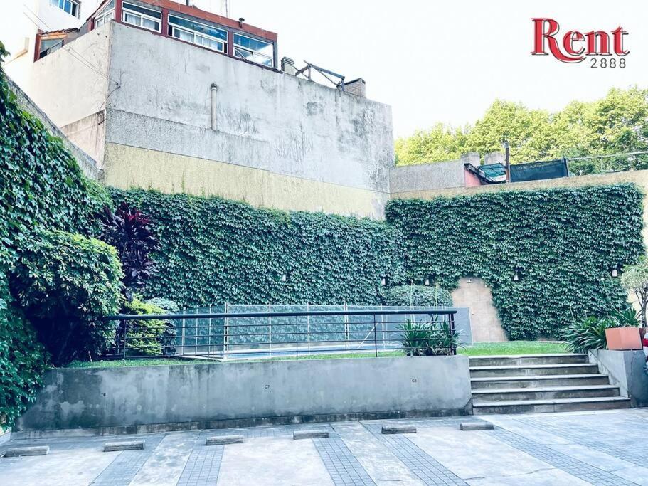 Rent Forest *