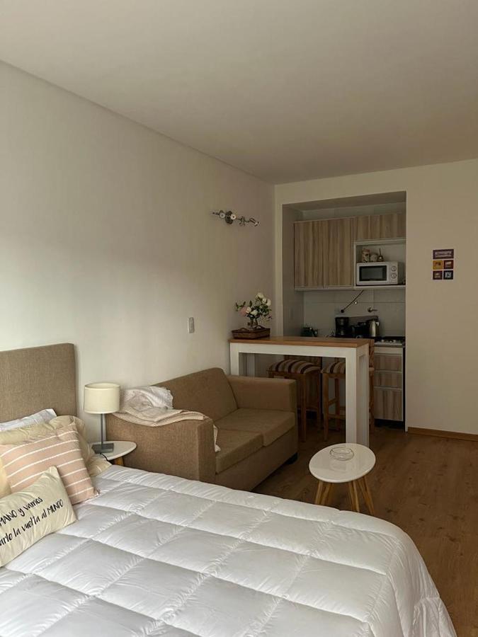 Apartamento Refugio Comodo Y Luminoso. Excelente Ubicacion. Ciudad Autónoma de Buenos Aires