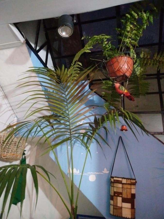 Hospedagem domiciliar House