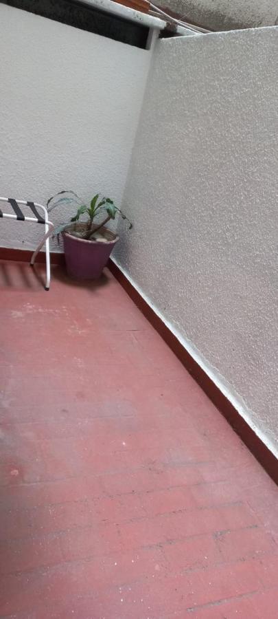 Espacioso Monoambiente En El Corazon De Apartamento