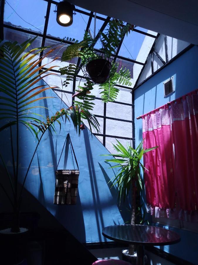 House Buenos Aires