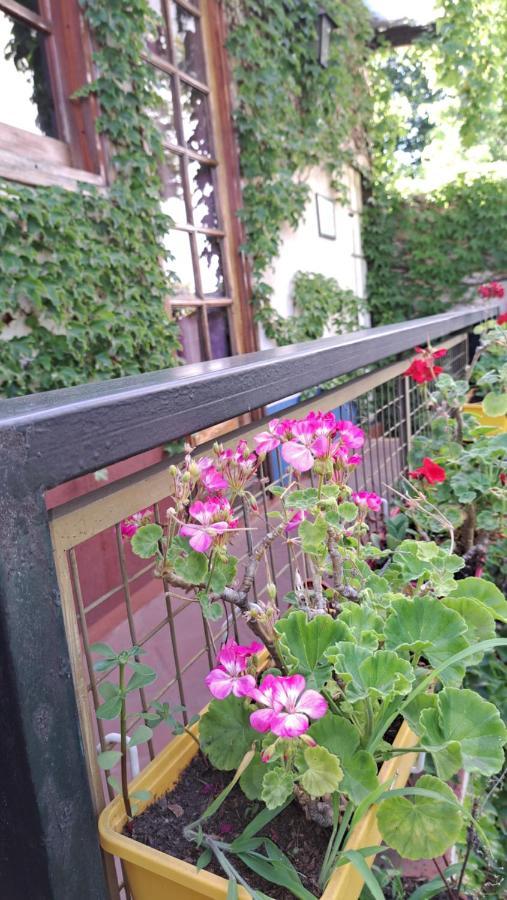 Rugantino Boutique Hotel Ciudad Autónoma de Buenos Aires