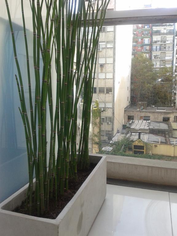 Apartment Design Larrea *