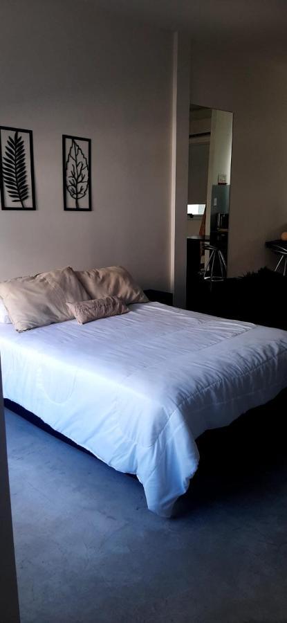 Moderno Departamento Con Balcon En Recoleta Apartamento *