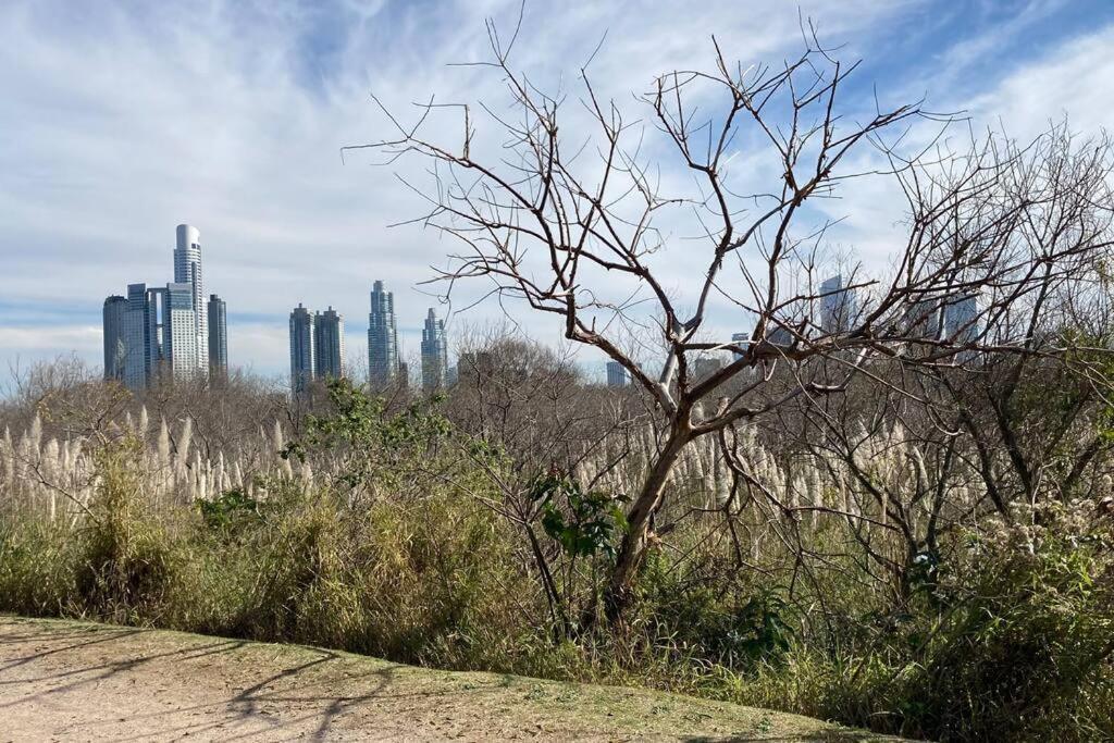 Apartamento “lindo Y Confortable Departamento En Buenos Aires” *